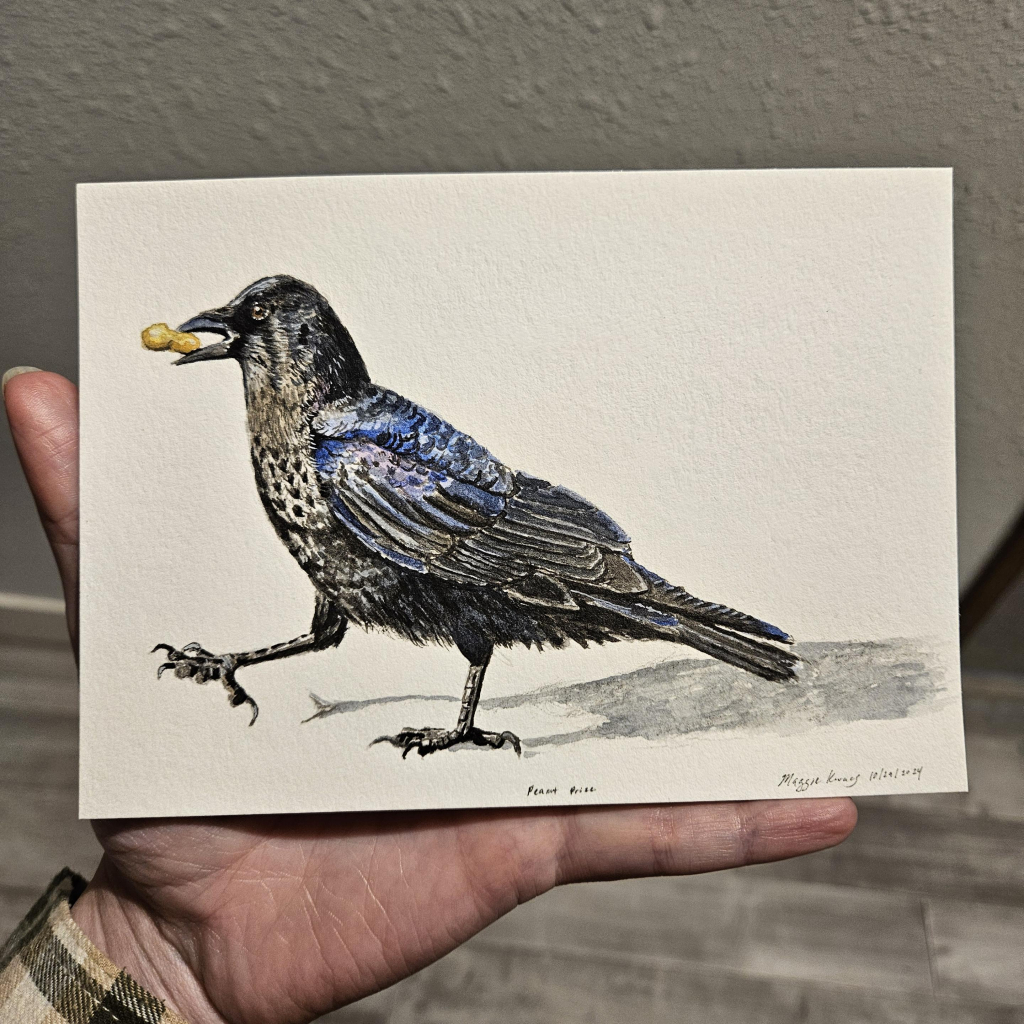 a 5x7 watercolor painting of a crow with very blue and purple feathers picking up a peanut and strutting around with it. Background left white with just the shadow of the crow.