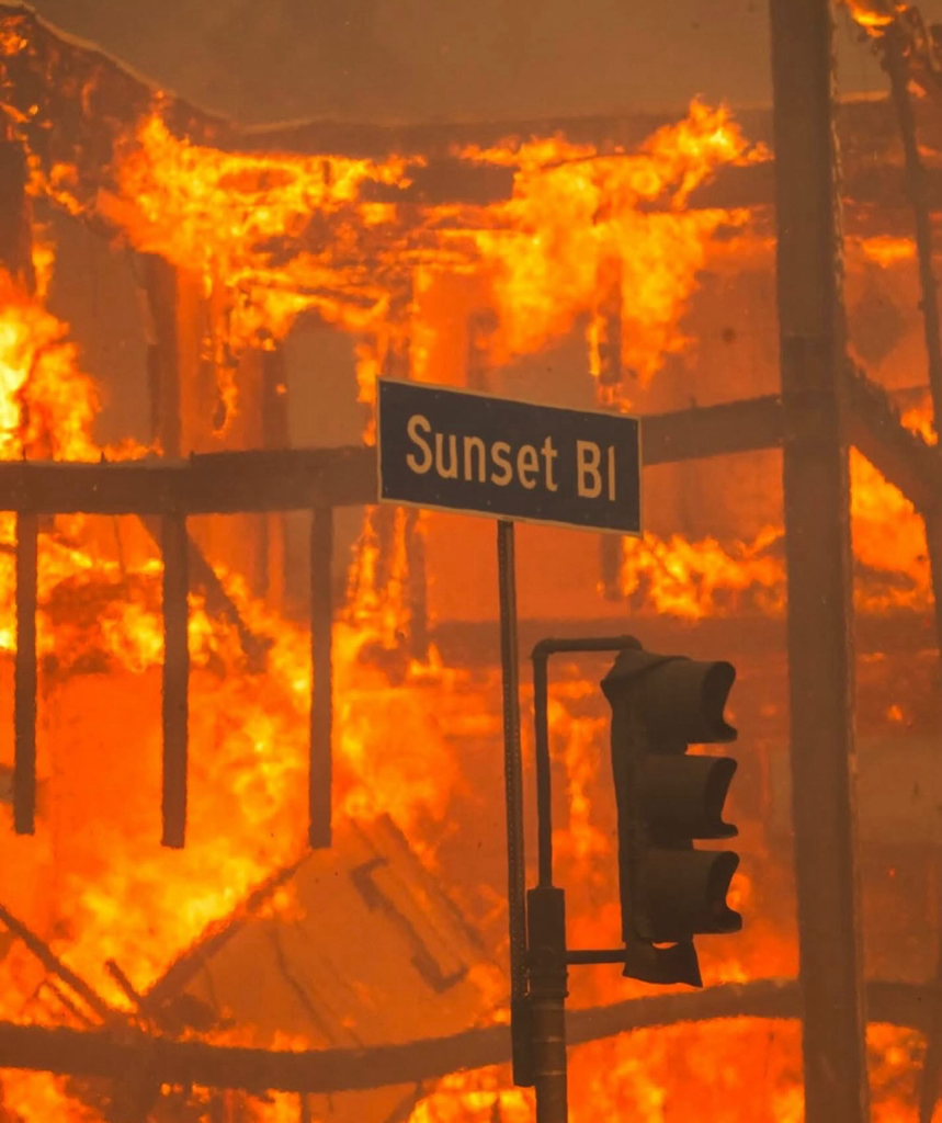 Foreground a Sunset Bl street sign. Pedestrian Street light down and to the left.  All first except vertical studies from building,fallen beams in background on fire.  LA Firs 