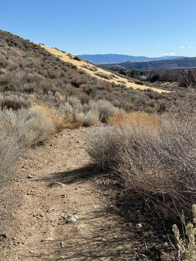 A narrow dirt trail leading you towards gentle downslope. On the left is a hillside covered with sagebrushes. Blue mountains afar.