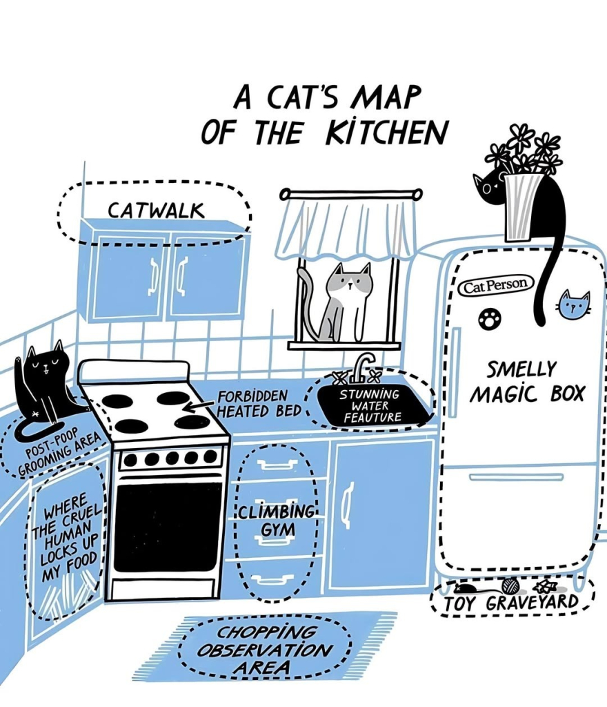 black white and light blue drawing of 'a cats map of the kitchen" with funny labels on the cabinets and appliances 