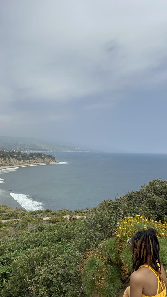 Brittney Carter with sits at Point Dume cliff overlooking the ocean, with greenery and flowers in the foreground and a foggy coastline in the background. The sky is a hazy light blue and grey. 