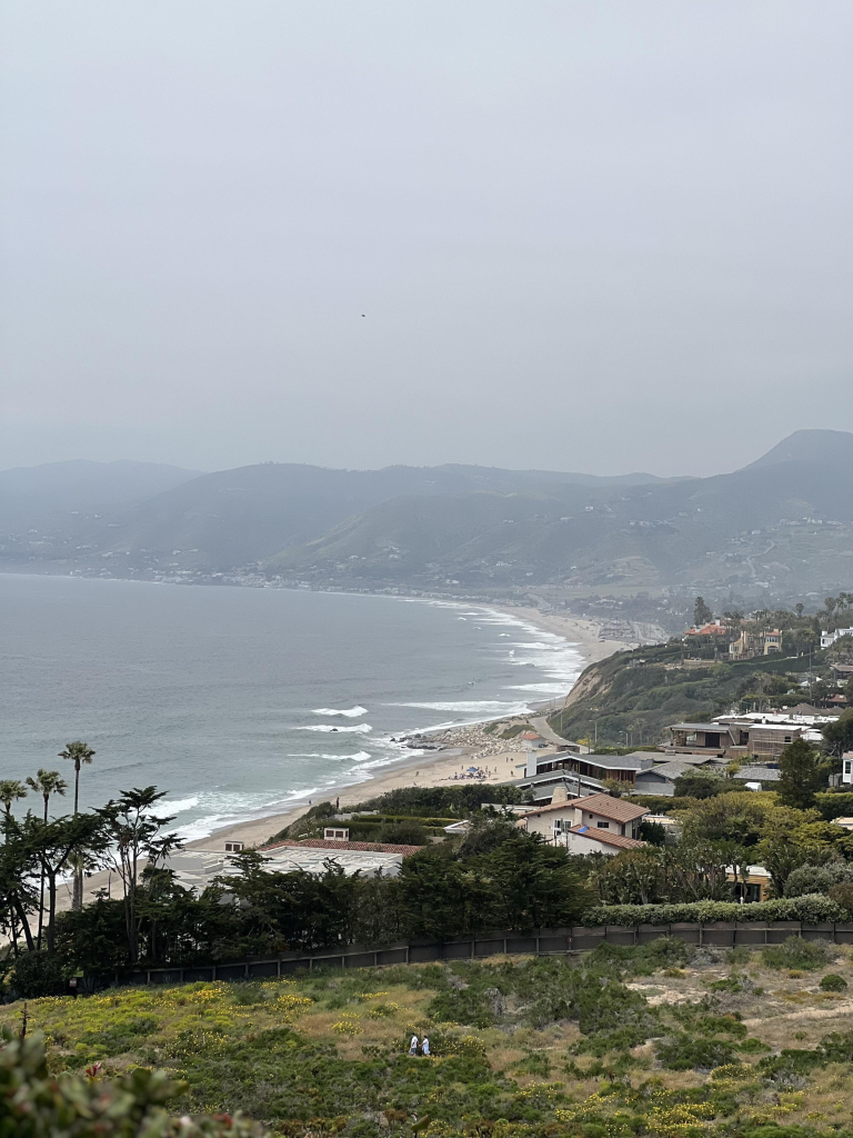 A scenic Malibu coastal view featuring a sandy beach lined with houses, waves breaking along the shore, and rolling hills in the background under a gray sky.