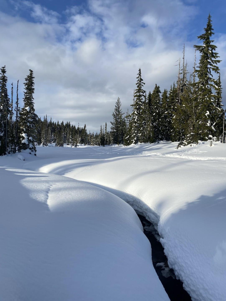 A winter landscape with a prominent foreground of smooth, undulating snowdrifts that create a natural pattern. A narrow, dark stream cuts through the snow, providing contrast to the white terrain. In the background, a dense forest of evergreen trees rises, silhouetted against a partly cloudy sky with varying shades of gray and blue. The lighting is bright, suggesting clear weather conditions.