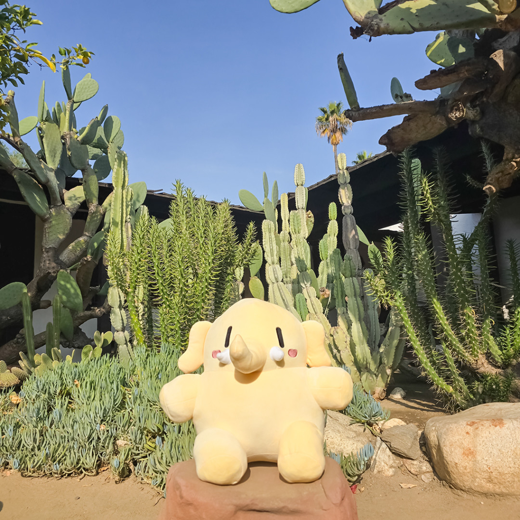 Photo of the Creature Mastodon stuffed toy sitting on a rock in front of an assortment of cacti on a bright, sunny day. The cacti in the background include Nopal, Pitaya, Blue Chalksticks, and Eve's Pin.