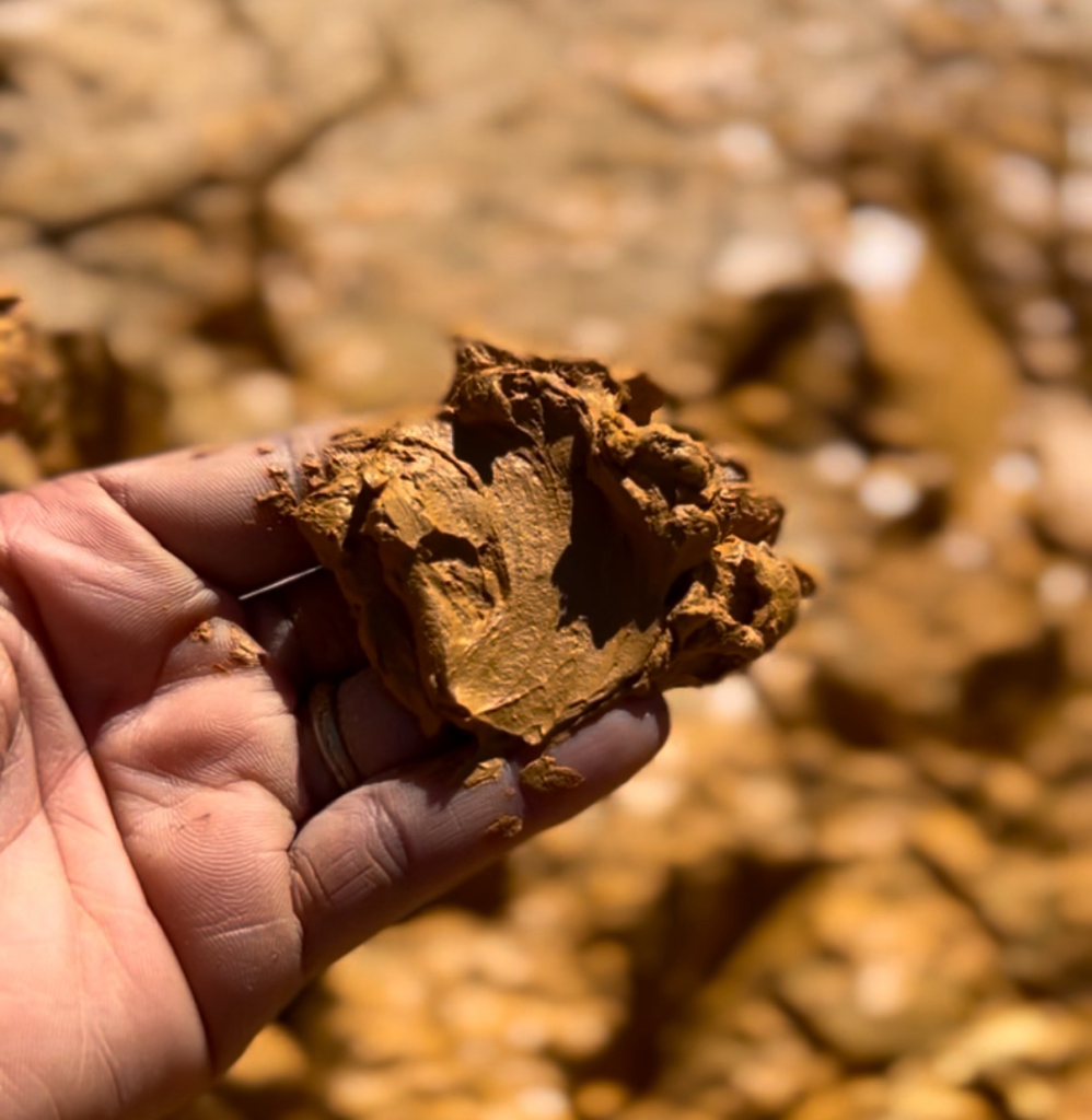 A close-up image of my hand holding a clump of reddish-brown clay or soil, showcasing its moist and compact texture. The background is blurred with similar earth tones of clay. 