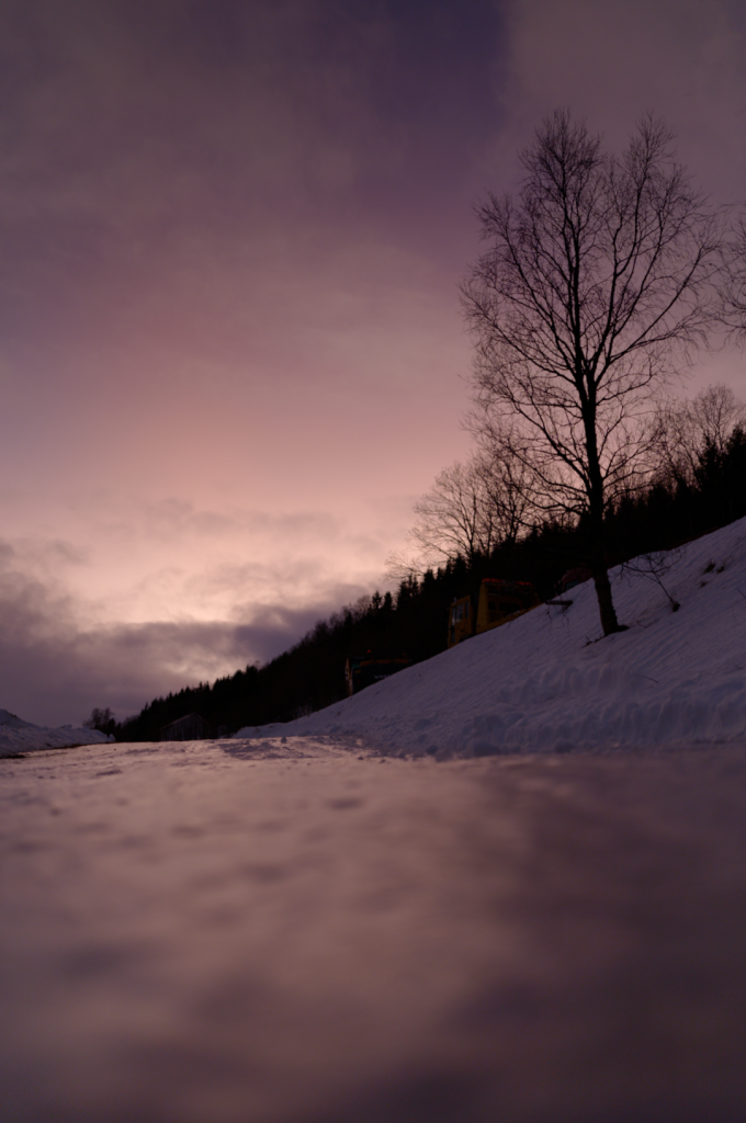 We stopped to catch the last gasp of colour throwing across the sky. This is a shade of purple I have only seen in the Arctic winter.