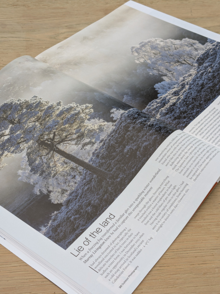 Lie of the land article feature written by murray livingston, including a winter photograph of pine and birch trees 