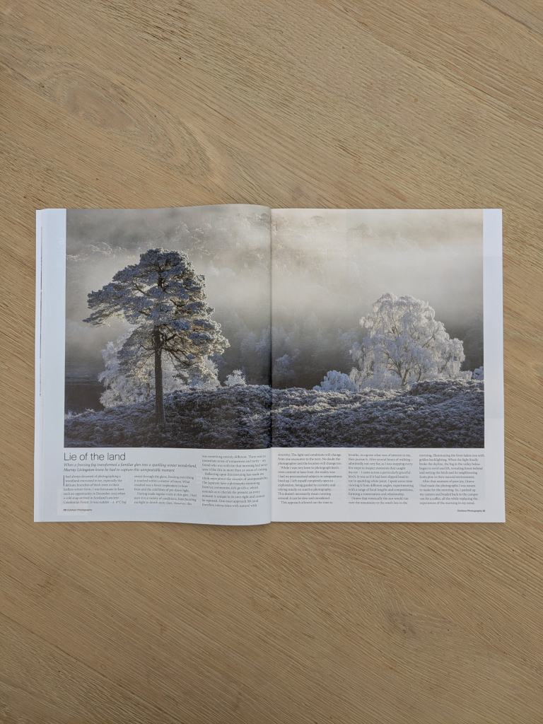 Lie of the land article feature written by murray livingston, including a winter photograph of pine and birch trees 