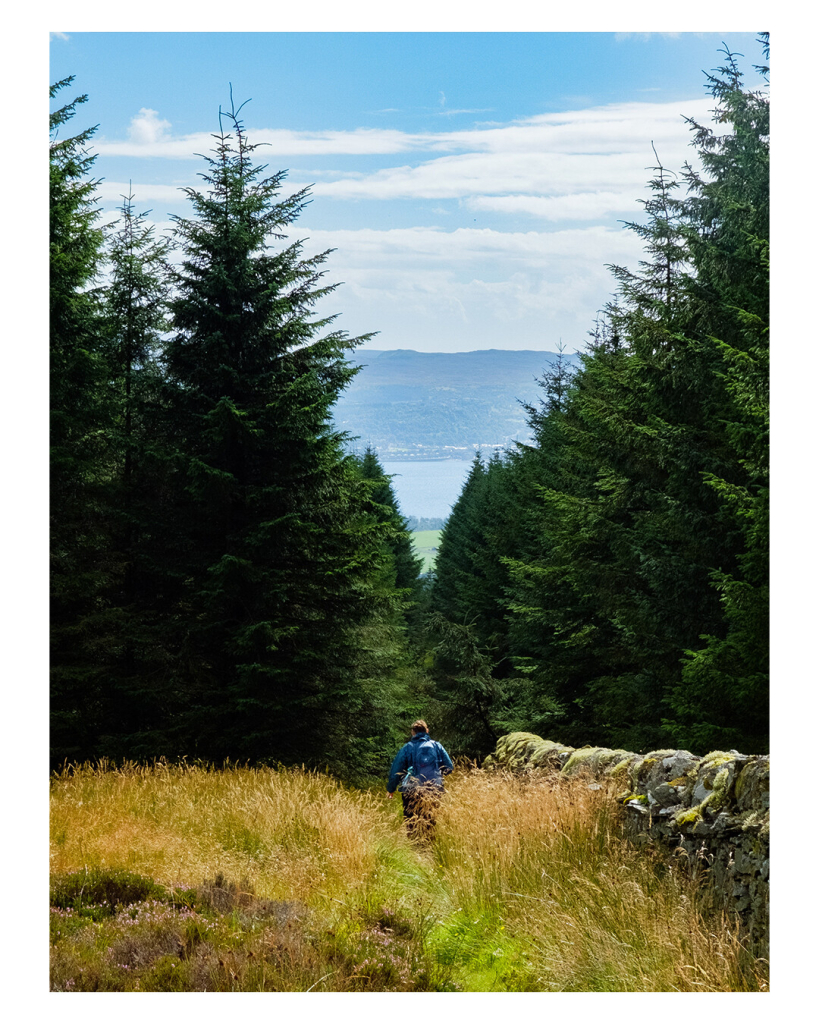 Hochkantes Bild, Blick von einem Berg durch eine Schneise in einem Nadelwald. Unten ist ein See, am anderen Ufer Berge. Vor der Schneise läuft eine Person bergab durchs hohe gelb-grüne Gras. Rechts ist eine Steinmauer. Der Himmel ist leicht bewölkt. 