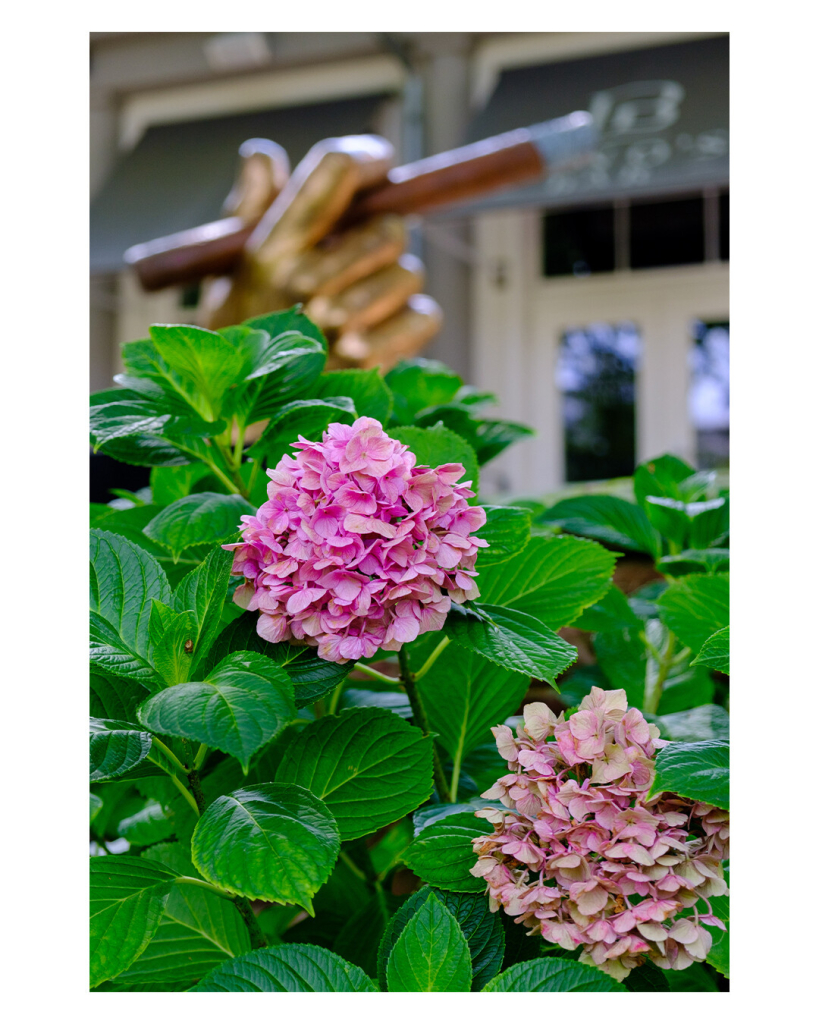 Foto im Hochformat. Ein Busch mit zwei rosafarbenen Rhododendronblüten. Dahinter, leicht unscharf, ist die Statue einer goldenen Hand, die eine brennende Zigarre hält. 