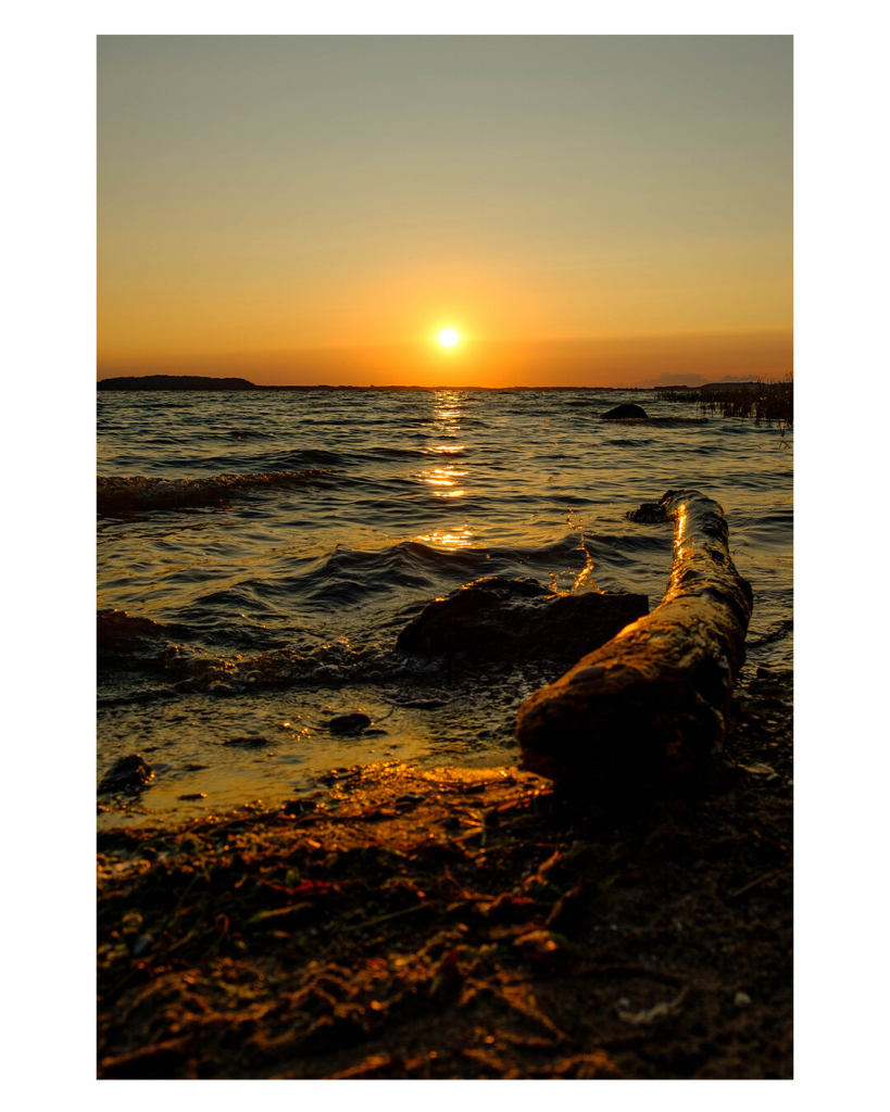 Foto im Hochformat. Sonnenuntergang am Strand. Im Vordergrund ist Strand, Todholz liegt halb am Strand, halb im Wasser. Das Meer mit leichtem Wellengang wird von der untergehenden Sonne beschienen. Die Sonne ist mittig im Bild, nur knapp über dem Horizont, am gold-blauen, wolkenlosen Himmel. 