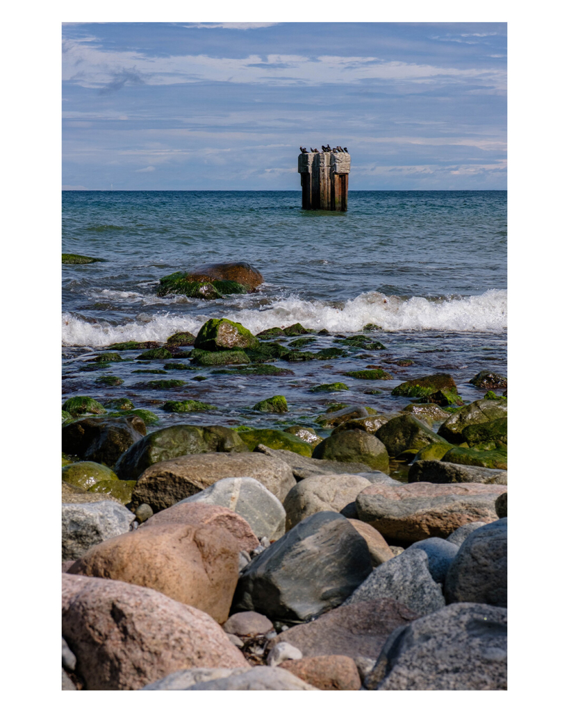 Foto im Hochformat. Ein Strand am Meer mit groben Felsen. Das Wasser ist unruhig, weiße Gischt nähert sich dem Strand. In der Ferne erhebt sich eine Art Plattform aus dem Wasser, auf dieser sitzen viele Vögel. Der Himmel ist bewölkt. 