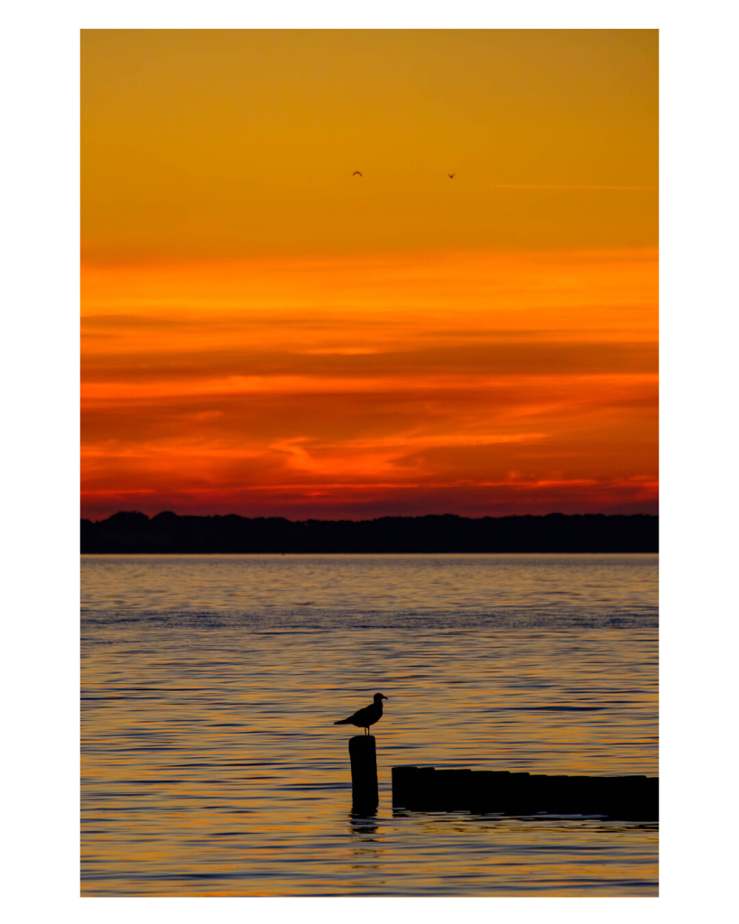 Foto im Hochformat. Sonnenuntergang am Meer. Der Himmel ist orange-rot. Unten ragt ein dünner Steg ins Bild, am Ende ist ein kleiner Pfosten auf dem eine Möwe sitzt. Alles ist nur als Schatten zu erkennen. Am Himmel fliegen in der Ferne zwei Vögel vorbei, sie sind mittig im Bild. 