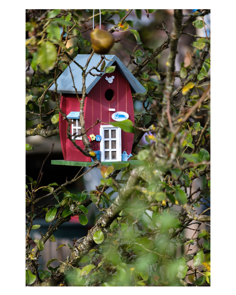 Foto im Hochformat. In einem Baum hängt ein rotes Vogelhäuschen mit hellblauem Dach. Vorne ist eine Haustüre, an der Seite ein Fenster, beide mit weißem Rahmen. Zwischen Türe und Dach ist ein Loch, durch das die Vögel ins Häuschen kommen. Über der Türe ist ein weißes ovales Schild auf sein in blau ein Vogel, der in einem Bett liegt, abgebildet ist. Vor dem Haus ist noch eine Gießkanne und ein Topf mit Blumen. Das Vogelhaus ist durch viele Äste fotografiert, Teile davon sind unscharf. 