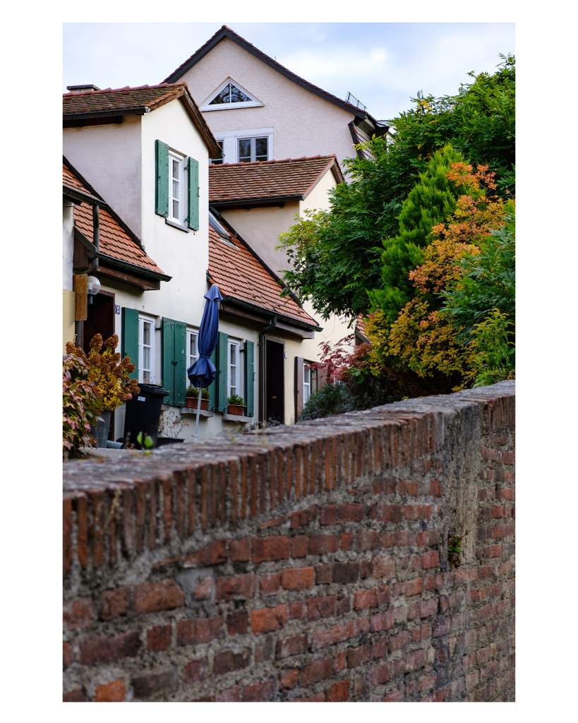 Foto im Hochformat. Blick über eine rote Backsteinmauer. Dahinter sind links alte hell verputzte Wohngebäude mit roten Spitzdächern und grünen Fensterläden. Davor steht ein blauer Sonnenschirm. Rechts sind Bäume und Büsche in grün und herbstlichen gelb und rot Tönen. 