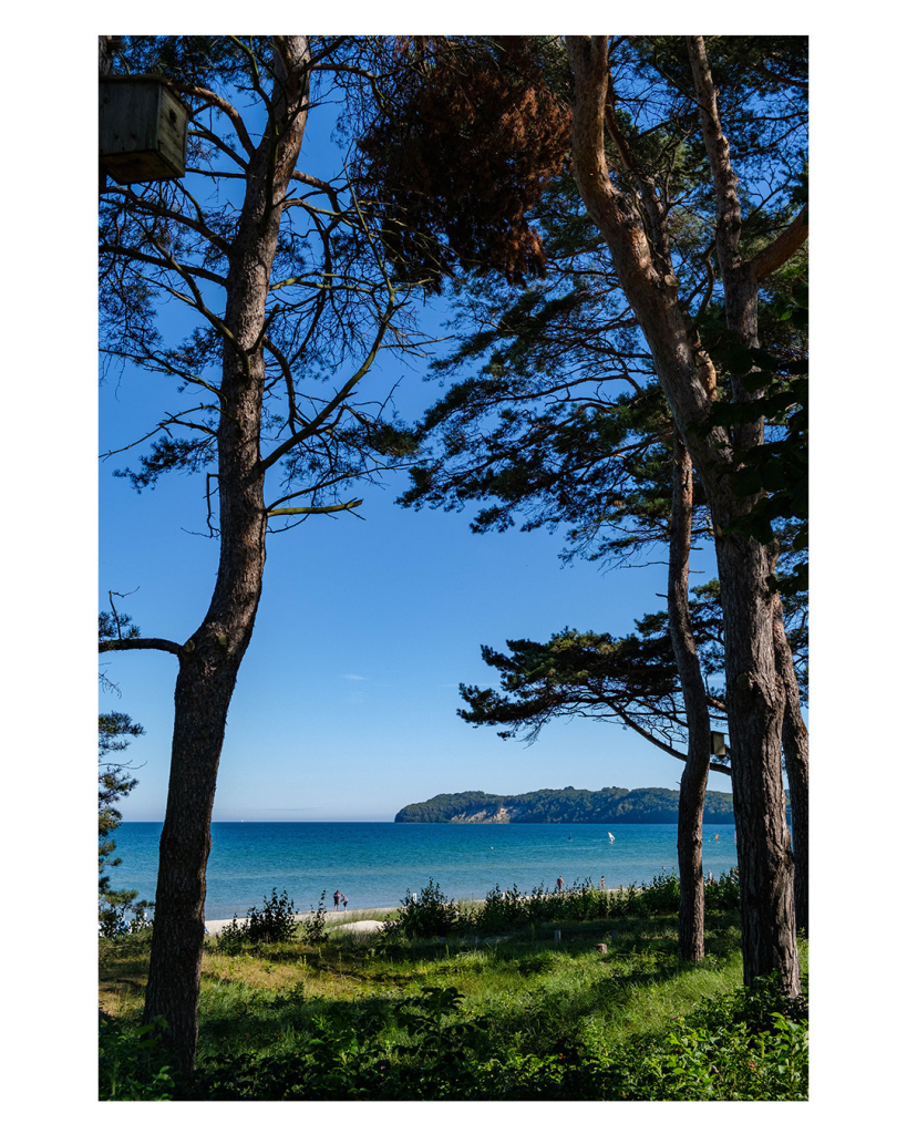 Foto im Hochformat. Blick durch Kiefernbäume auf Strand und blaues Meer. Am Horizont ist rechts eine Landzunge. Im Meer sind vereinzelt Menschen. Der Himmel ist strahlend blau. Die Bäume und deren Äste bilden eine Art Rahmen für das Meer. 