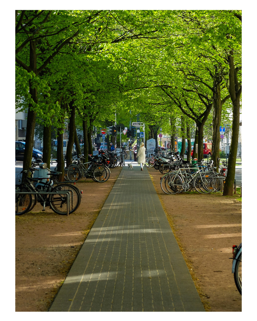 Foto im Hochformat. Ein gepflasterter Fußweg in einer Stadt verläuft gerade nach hinten im Bild. Links und rechts sind m Bäume mit grünen Blättern einer Allee. Davor stehen jeweils abgestellte Fahrräder. Am Ende des Weges ist eine Person in weißer Kleidung mit weißem Mantel. An einer Leine hat sie einen weißen Hund. Durch die Bäume lässt sich erkennen, dass die Sonne scheint. 