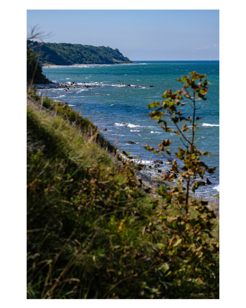 Foto im Hochformat. Links geht eine hohe, felsige, mit Gras bewachsene Küste entlang rechts ist blaues Meer. Auf diesem sind ein paar weiß gekräuselte Wellen. Vorn im Bild ragen die Äste eines Busches ins Bild. Der Himmel ist bewölkt. 