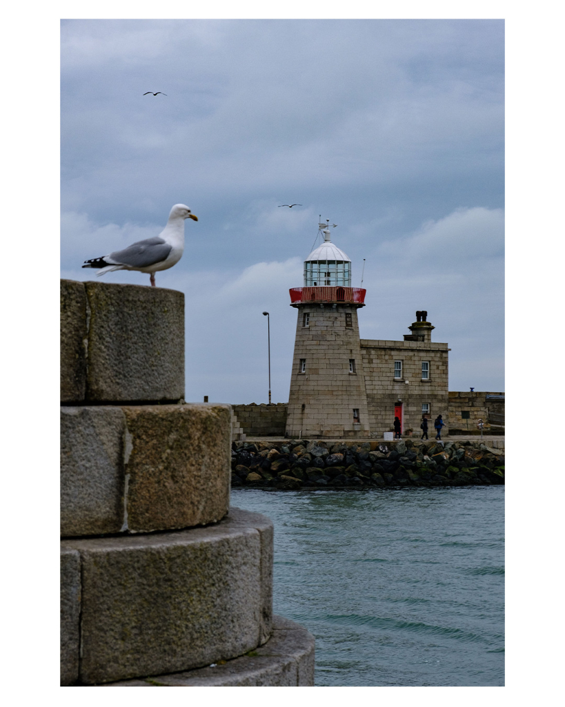 Foto im Hochformat. Blick über ein Hafenbecken. Am anderen Ufer ist ein kleiner Leuchtturm aus hellem Stein. Die Spitze ist weiß und rötlich. Im Vordergrund ist eine Art Steintreppe, obendrauf sitzt eine weiß-graue Möwe, die Richtung Leuchtturm schaut. Der Himmel ist bewölkt. 