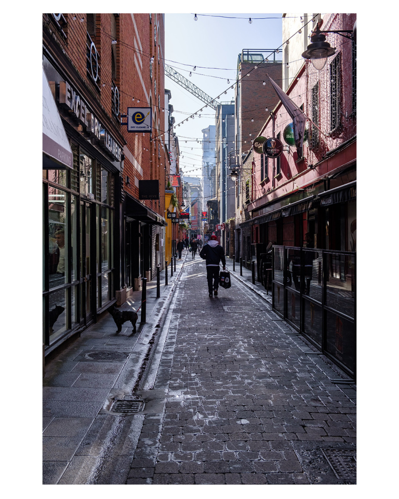 Foto im Hochformat. Blick in eine Gasse in der Großstadt Dublin. Links und rechts sind Geschäfte und Pubs. Der Boden besteht aus Kopfsteinpflaster. In der Gasse ist ein Hund, eine Person läuft von der Kamera weg, weiter hinten sind weitere Personen. Über der Gasse sind mehrere Kabel mit Glühbirnen dran. Diese leuchten aber nicht, da es tagsüber ist. Der Himmel ist bewölkt. 