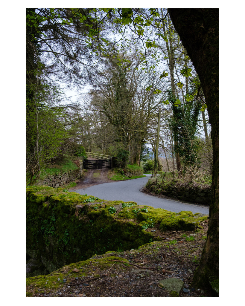 Foto im Hochformat. Blick über die Ecke einer Mauer eine kurvige Straße entlang. Die Mauer ist mit Moos bewachsen. Auf beiden Seiten der Straße sind Mauern, Gras und Bäume. Rechts im Bild ist ein kleiner Teil eines gebogenen Baumstammes. Die Kurve der Straße und die Ecke der Mauer ergeben zusammen eine gezackte Form, die wie der Großbuchstabe S aussieht. 