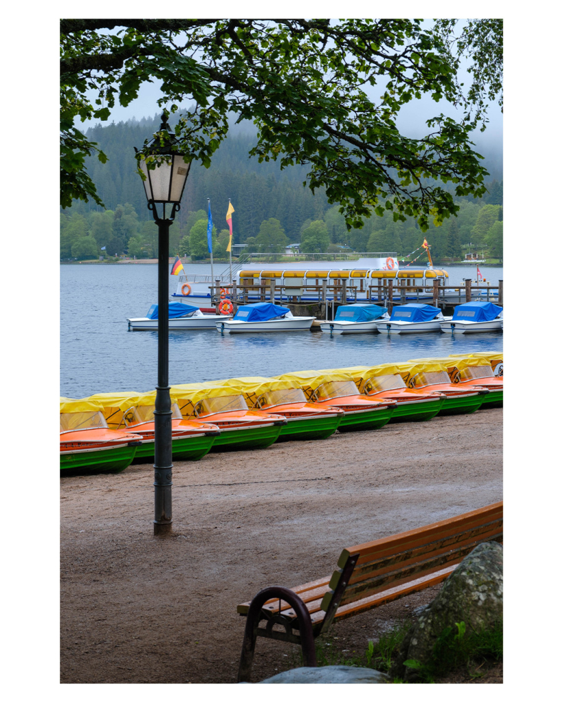 Foto im Hochformat. Blick auf den Strand des Titisees. Vorne ist eine Bank und eine Straßenlaterne, am See selbst liegen viele gleiche Boote nebeneinander. Grün-orangener Rumpf, gelbes Dach. Weiter hinten  ist ein Steg an dem weiße Boote mit blauem Dach und ein größeres Ausflugsboot liegen. Der Blick weit eingerahmt durch die Äste eines Baumes, die von links oben ins Bild ragen. 