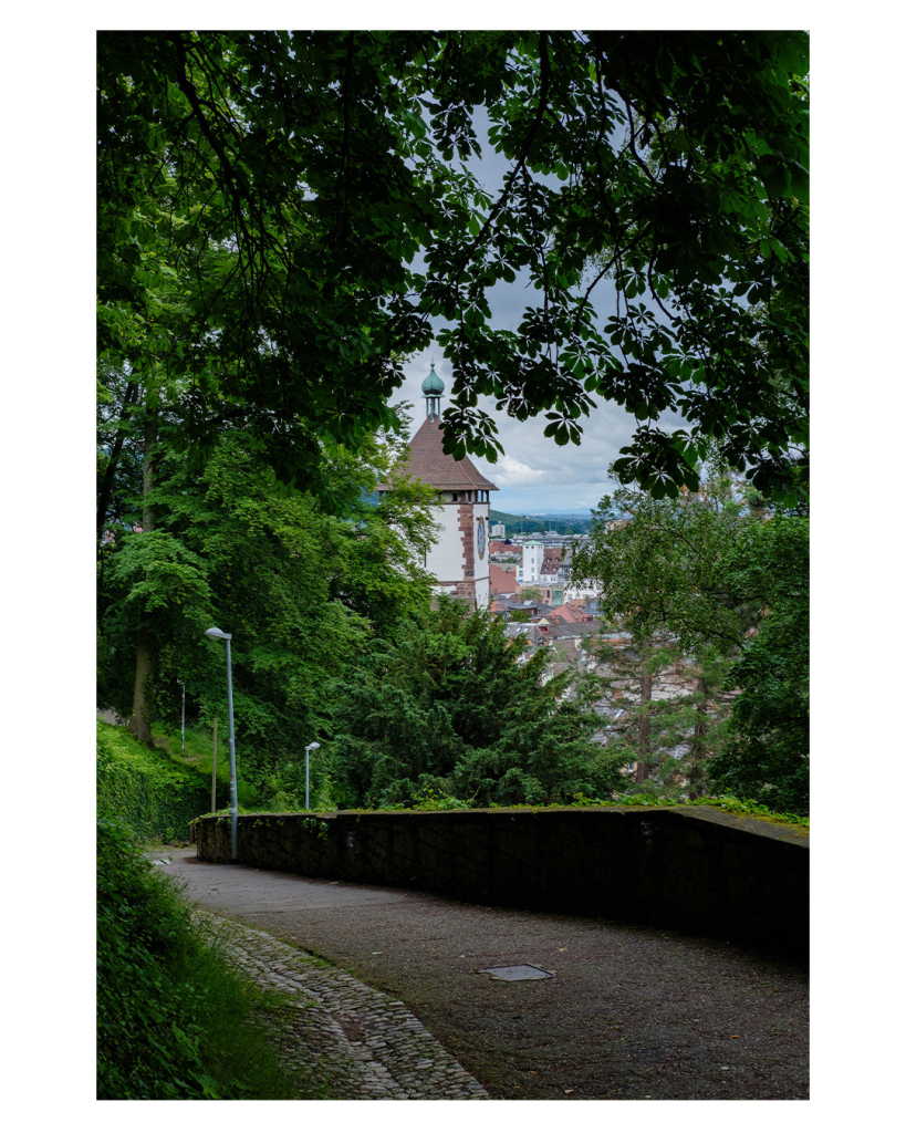 Foto im Hochformat. Blick entlang eines Fußweges, der bergab geht. Auf der rechten Seite ist eine hüfthohe Mauer. Links ist ein begraster Abhang. Fast das komplette Bild wird von Bäumen, Büschen und Ästen eingenommen, diese umrahmen den Blick auf eine Stadt. Im Vordergrund dieses Blickes ist ein Kirchturm, dessen Spitze ebenfalls von Blättern umrahmt wird. 