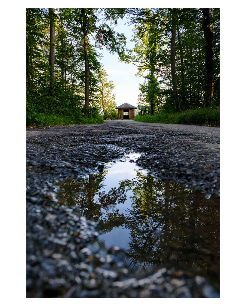 Foto im Hochformat. Blick entlang einer asphaltierten Straße im Wald, die Kamera ist knapp über dem Boden. Direkt vor der Kamera ist eine kleine Pfütze, in der sich die Bäume, die links und rechts der Straße sind, spiegeln. Am Ende der Straße ist mittig eine kleine Hütte, dahinter sind keine Bäume und der klare Himmel ist zu sehen. 