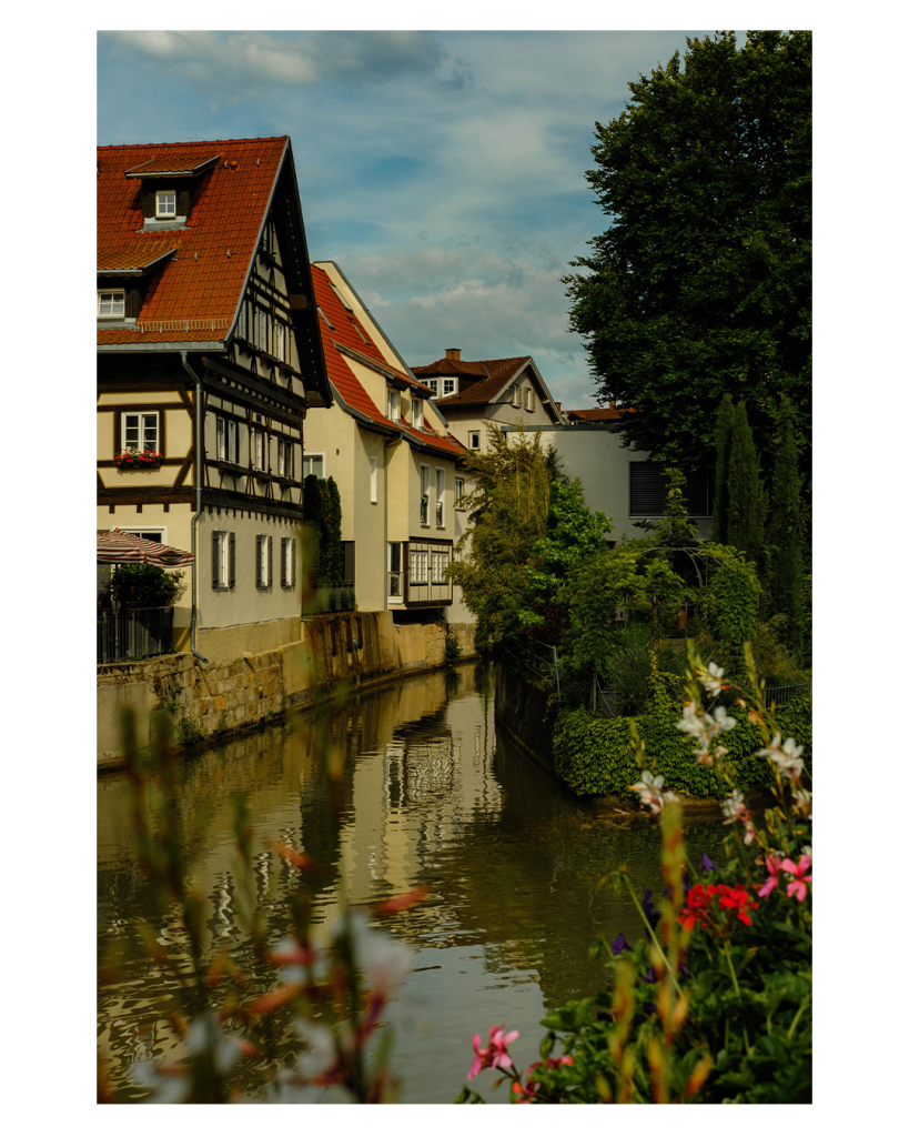 Foto im Hochformat. Blick auf einen Kanal, am linken Ufer sind einige Fachwerkhäuser, die sich im Wasser spiegeln. Am rechten Ufer sind Bäume. Im Vordergrund ragen Blumen ins Bild, der Himmel ist leicht bewölkt. 