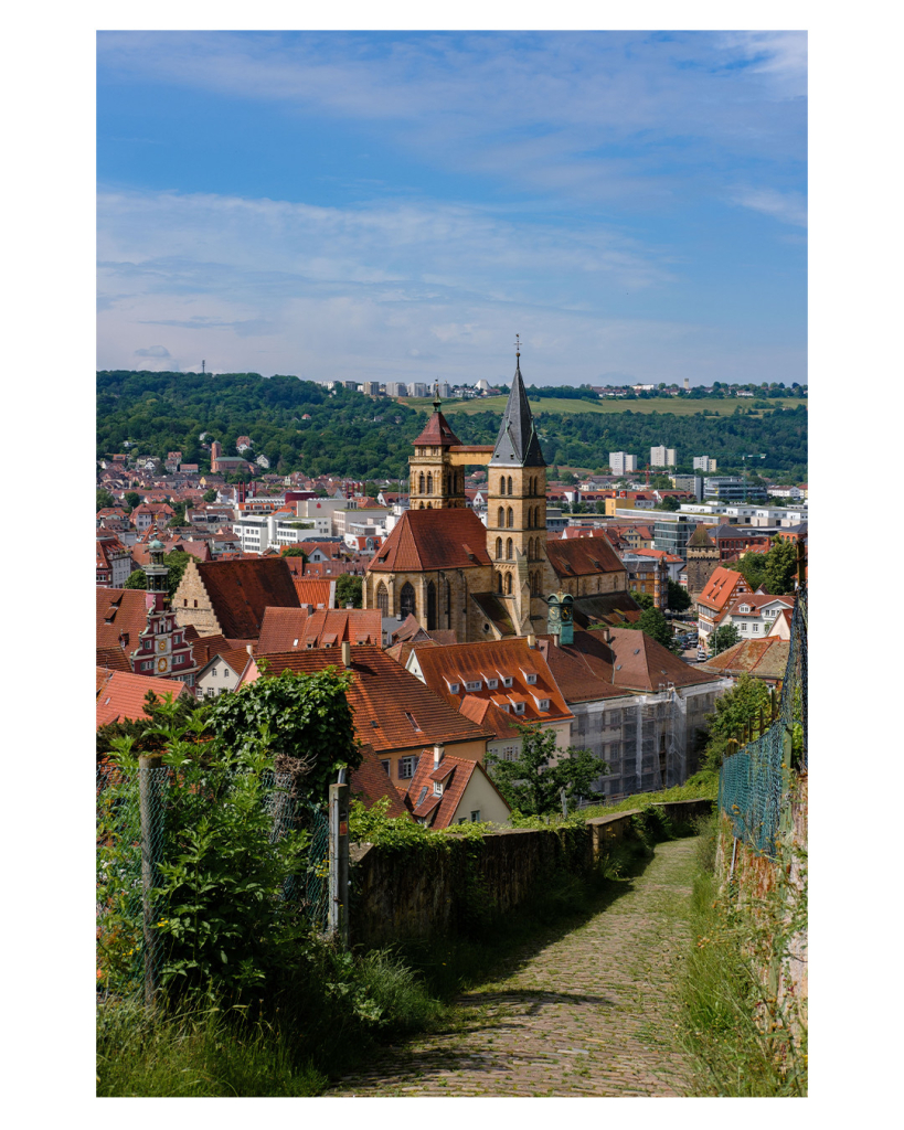 Foto im Hochformat. Blick von Weinbergen aus auf eine Altstadt. Mittig platziert ist eine gotische Kirche mit zwei Türmen. Diese sind durch einen Gang verbunden. Vor der Kamera geht ein Weg aus Kopfsteinpflaster den Berg hinab. Hinter der Stadt sind Wälder, es ist sonnig und leicht bewölkt. 