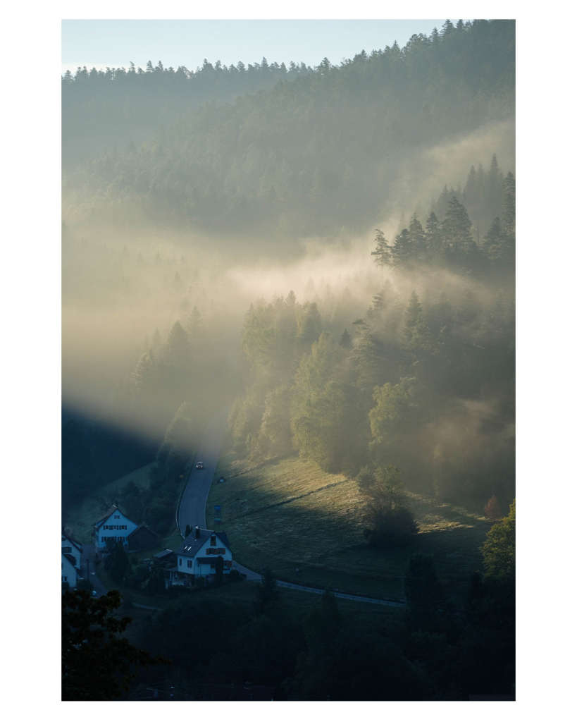 Foto im Hochformat. Blick auf einen bewaldeten Berg. Von links kommen die Strahlen der aufgehenden Sonne, diese beleuchten den morgendlichen Nebel, der in den Bäumen des Waldes hängt. Unterhalb der Strahlen, im Schatten, geht eine Straße entlang, weiter unten kommen die ersten Häuser eines Dorfes. Auf der Straße fährt ein einzelnes Auto.  