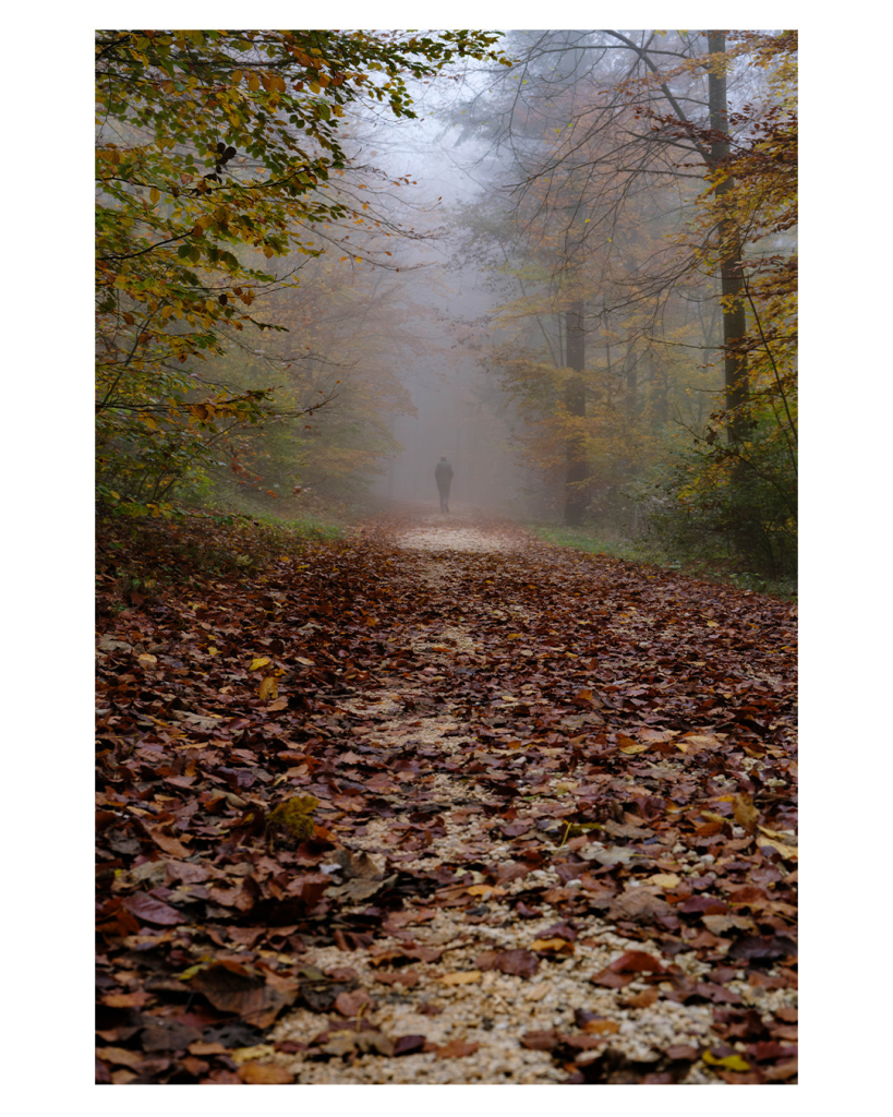 Foto im Hochformat. Blick entlang eines Waldwegs, der bergauf geht. Es ist neblig, am Boden sind fast nur braune Blätter, links und rechts Bäume, die im Nebel versinken. In einiger Entfernung läuft eine dunkel gekleidete Gestalt. Sie ist kurz davor, im Nebel zu verschwinden. 