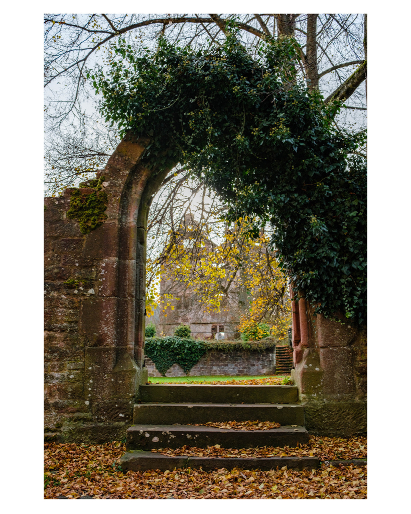 Foto im Hochformat. Blick auf den steinernen Torbogen einer Ruine. Es führen vier Stufen zum Eingang herauf. Davor liegt gelb-rotes Herbstlaub. Der obere rechte Teil des Bogens ist mit einer grünen buschigen Pflanze bewachsen. Durch den Bogen sieht man ein anderes hohes Gebäude der Ruine, davor hängen aber Äste eines Baumes. 