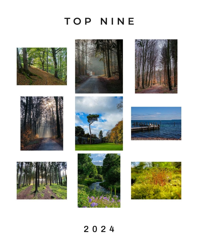 Neun Bilder von meinem Instagram Account, fünf davon sind Waldweg auf den Sonnenlicht durch die Bäume fällt. Eins ist ein Park, dann Blick über einen Bach, ein Steg im Meer und ein sprossenartiges Gewächs im Moos. Text: oben steht Top Nine unsren steht 2024. 