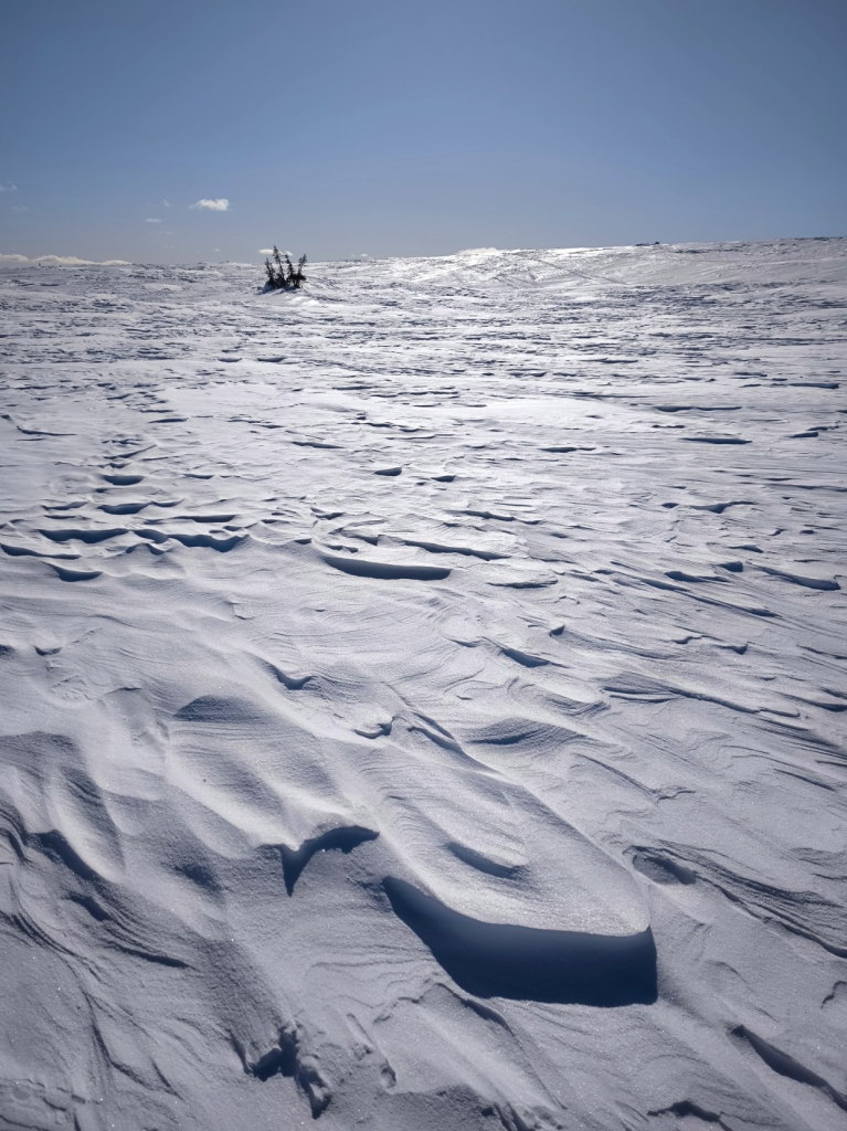 Snowy landscape in finnish lapland