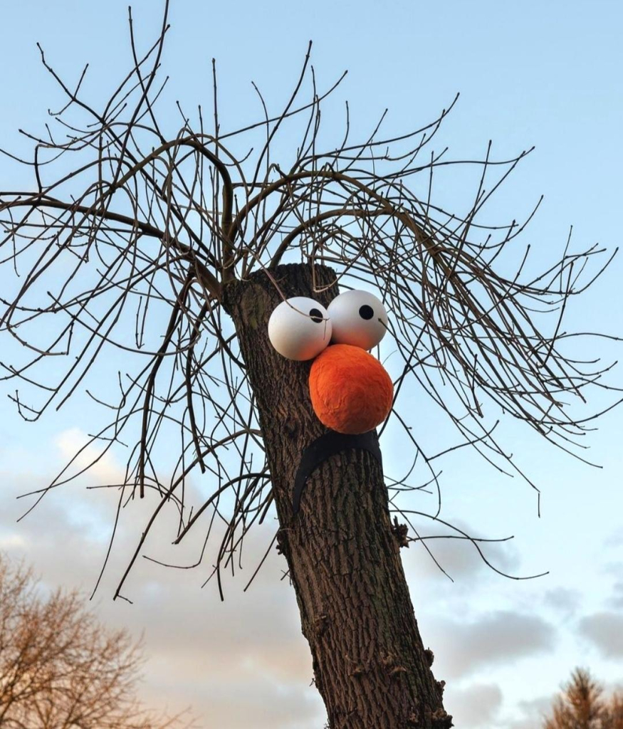 Streetart. The artist "Frankey" has created a fun installation on a tree in a green space in Amsterdam. The tree is a cut trunk from which thin branches sprout wildly. The "installation" consists of two large googly eyes,  a thick orange nose and a mouth with the corners of the mouth pulled down. Together, this makes a face with wild hair, i.e. the silly-looking "Beaker" from the Muppets show. He is the shy, long-suffering assistant to Dr. Bunsen Honeydew and is also named after a piece of laboratory equipment. His trademark is an excited "mee-mee-mee" instead of a language.
Info: Frankey is Frank de Ruwe who
currently lives and works in Amsterdam. Where, if you look closely, you can discover his works in an unexpected places throughout the city. Frankey manages to give passers-by an instant smile from ear to ear time after time. "Pretty cool, right?", He says himself.