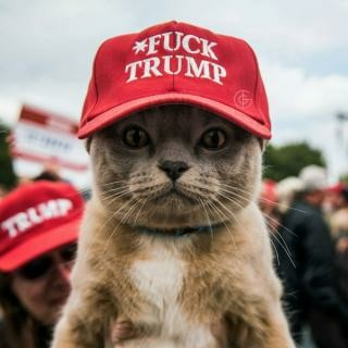 Vertical photo.
Woman wearing a red Trump hat at a rally holds up a cat that is also wearing a red cap. Text on the cat's hat reads: "*Fuck Trump."