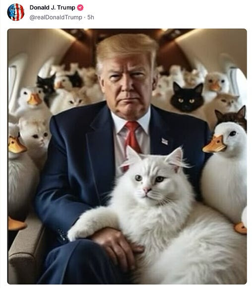 Vertical photo.
Trump appears to be seated aboard a private jet surrounded by cats and ducks, A large white Persian cat in Trump’s lap has its right paw over Trump’s right hand.
You can tell this is Ai-generated because Trump doesn't like animals.