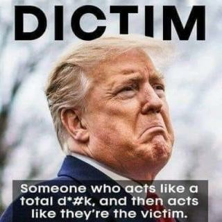 Vertical head and shoulders photo of a scowling Donald Trump.
At the top is the word, "DICTIM." At the bottom are the words "Someone who acts like a total d*#k, and then acts like they're the victim.