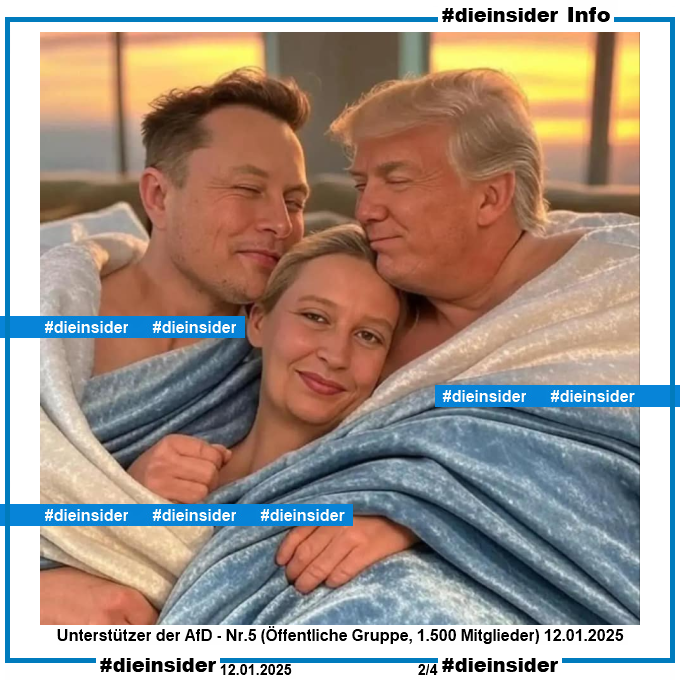 Auf Slide 2 haben wir aus der öffentlichen Gruppe "Unterstützer der AfD Nr.5" ein Bild vom 12.01.2025, bei dem man Alice Weidel zusammen mit Elon Musk und Donald Trump im Bett sieht.
