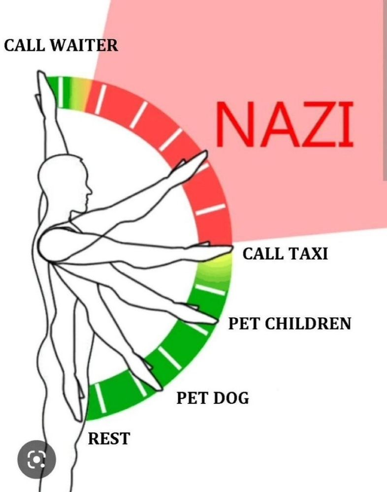 Ein Grafik, die anhand des Winkels des gehobenen Arms berechnet, ob du den Arm ausruhst, ein Tier streichelst oder ein Kind, ein Taxi rufst oder ein Nazi bist. Ganz oben: Kellner*in rufend.