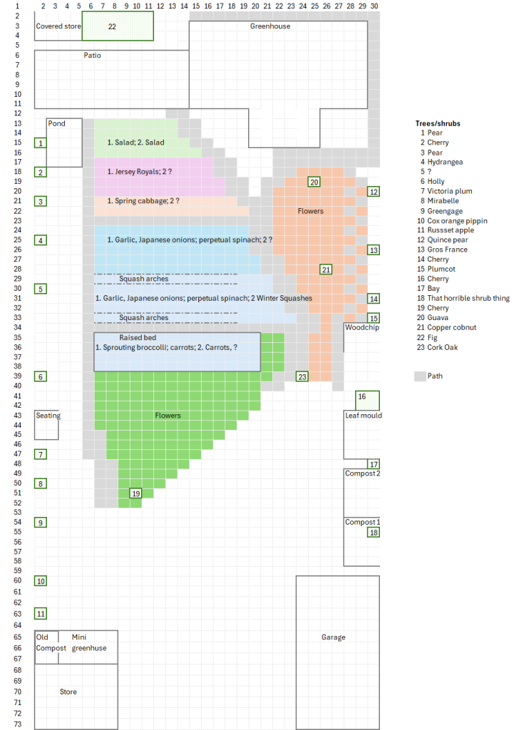 A spreadsheet setting our a gridded garden plan with numbers 1 to 30 along the top and 1 to 73 down the rows, colours indicating some of the beds, and text for vegetables - 1. now planted 2. in plan with a greenhouse and patio at the top, compost bins and a garage down the bottom right hand side, and a store and mini-greenhouse bottom left.  Trees are indicated with a green box and a number.  A key shows these to be: 1	Pear
2	Cherry
3	Pear
4	Hydrangea
5	?
6	Holly
7	Victoria plum
8	Mirabelle
9	Greengage
10	Cox orange pippin
11	Russset apple
12	Quince pear
13	Gros France
14	Cherry
15	Plumcot
16	Cherry
17	Bay
18	That horrible shrub thing
19	Cherry
20	Guava
21	Copper cobnut
22	Fig
23	Cork Oak
