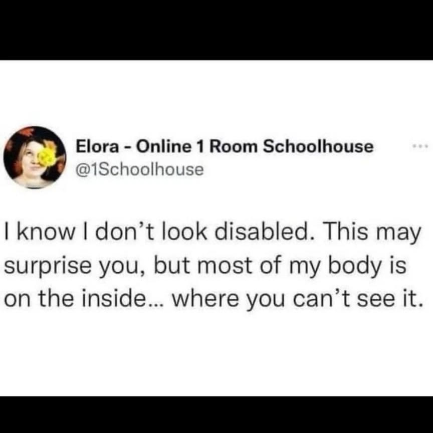 Elora - Online 1 Room Schoolhouse @Schoolhouse

I know I don't look disabled. This may surprise you, but most of my body is on the inside... where you can't see it.