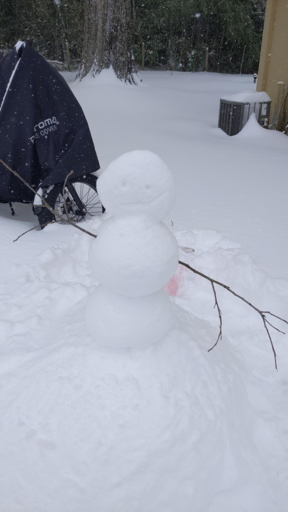 Snow person with a smirk and big waves.