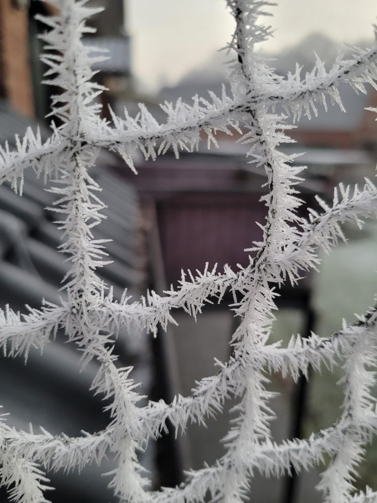 Nahaufnahme eines Balkonkatzennetzes. Das Garn ist mit Eiskristallen zu einem hübschen Schachbrettmuster gefroren.