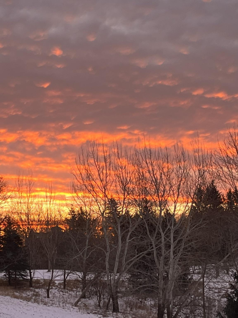 A vibrant sunrise with shades of orange and pink illuminates the sky, framed by silhouetted trees and a snowy landscape below.