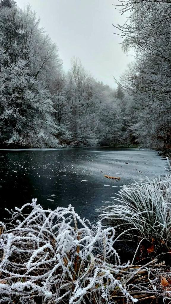 Ein zugefrorener See liegt inmitten eines winterlichen Waldes. Die Bäume sind mit einer dünnen Schicht Schnee oder Raureif bedeckt, was eine kalte, ruhige Atmosphäre erzeugt. Im Vordergrund sind Pflanzen zu sehen, die ebenfalls mit Raureif bedeckt sind. Der See selbst ist dunkel und teilweise mit Eis bedeckt. Ein kleiner Ast schwimmt auf dem Eis. Das Bild ist insgesamt in kalten, dunklen Tönen gehalten.