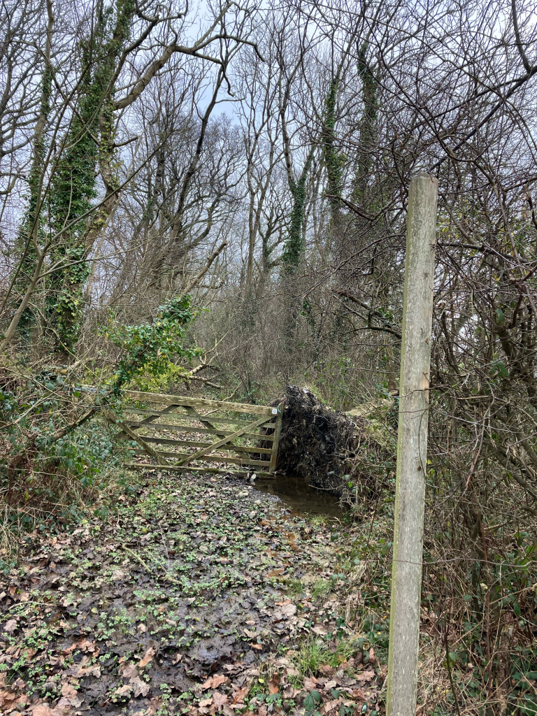 A photo of a footpath leading through a wooden field gate into woodland. A wooden fingerpost minus its sign arm stands on the right, leaning slightly that way. The gate is also looking a bit wonky (could also be the angle of the shot). A large tree in the hedge bank has toppled (again to the right) and its root plate has lifted, taking the gate post with it and jamming the gate closed. Beyond, in the woods, more trees have come down right across the path. The sky shows grey through a web of branches in the tree canopy.