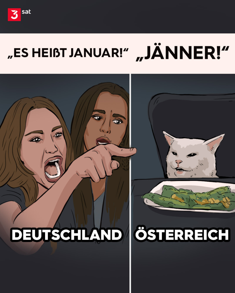 Bildbeschreibung: Meme, Illustration. Zu sehen links zwei Frauen, die diskutieren und rechts eine skeptisch blickende Katze vor einem Teller. Über den Frauen die Schlagzeile "Es heißt Januar!" und über der Katze in Großbuchstaben: "Jänner".