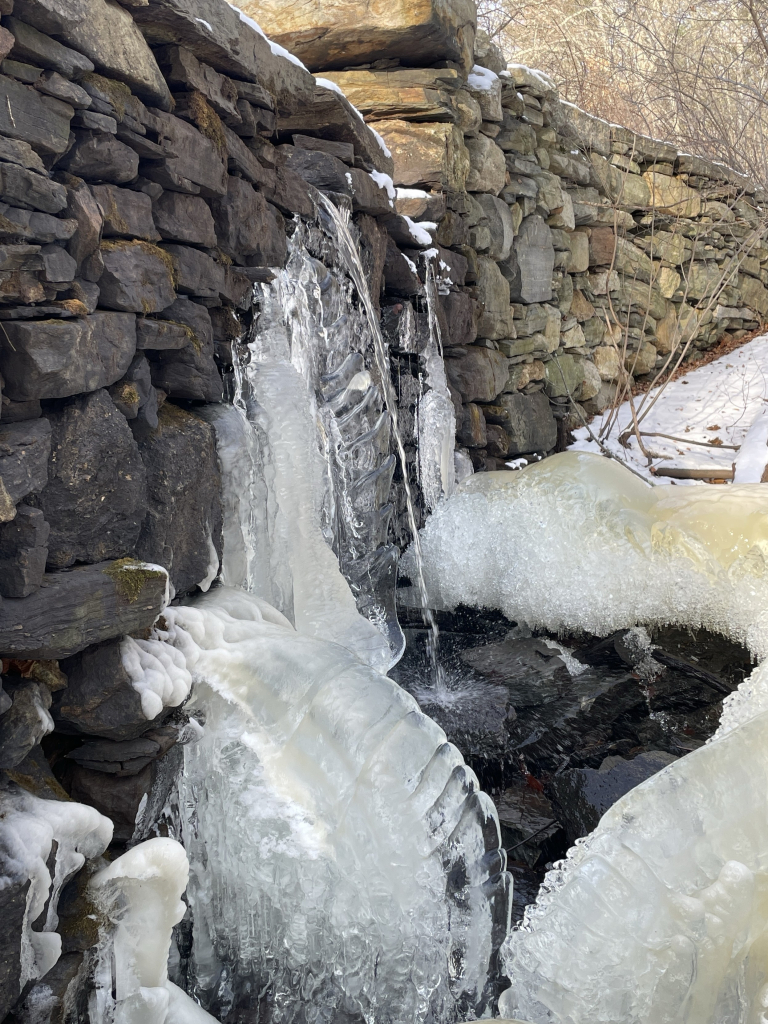 What is this!? Where the water emerges from the dam and flows across the rock wall, it has formed a clear ice structure that looks like a segmented carapace of an arthropod. There are three of these large, about a meter, curved structures. One has formed against the rock dam wall. A second is lower and has formed over a large rock that fell from the wall and leans against it. And the third is across from the later and curved away from the dam. Each “segment” in the larger structure is about 8-10 cm tall and nestles into the segment below it, which sticks out beyond. They are weird and wonderful and ephemeral and I’d love to understand how they form. Some kind of freeze thaw with gravity process and water coming from above? 